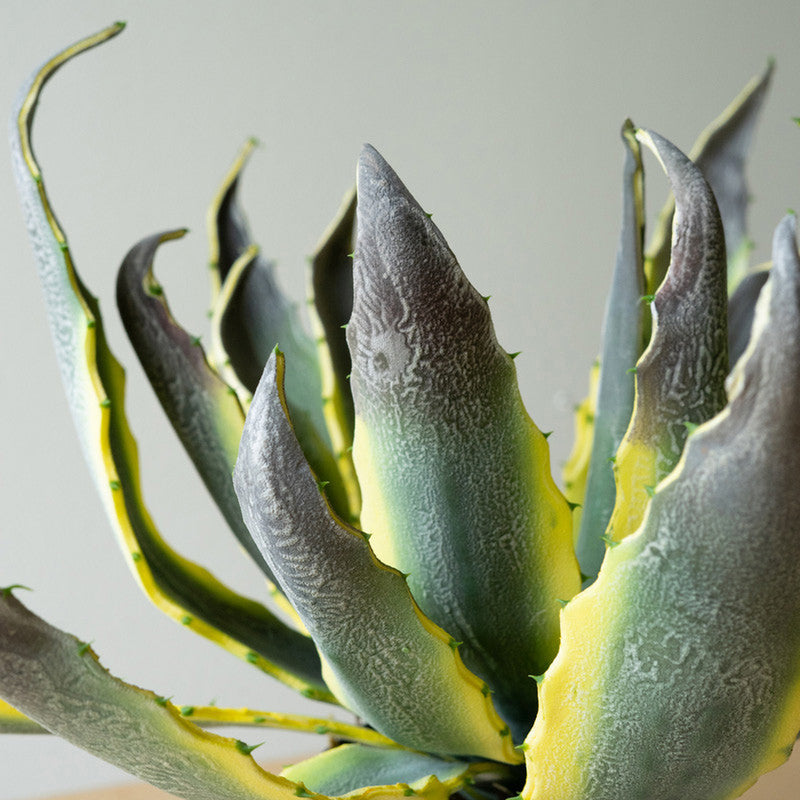 Agave Potted Faux Plant Set of 4