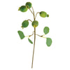 Botanica #3547 Faux Plant Stem Set of 6