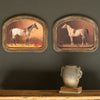 Arched Framed Horse Prints Framed Artwork Set of 2