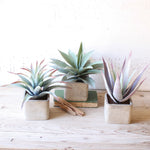 Square Pot Succulent Faux Plant Set of 3