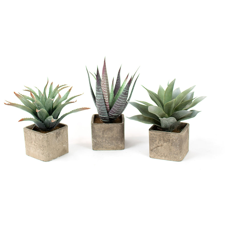 Square Pot Succulent Faux Plant Set of 3