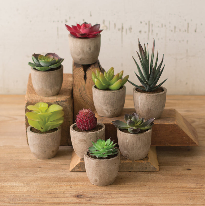 Miniature Succulent Faux Plant Set of 8