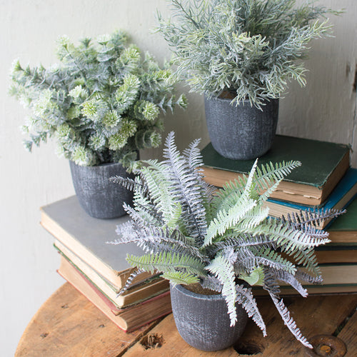 Gray Pot Fern Faux Plant Set of 3