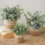 Woven Pot Eucalyptus Faux Plant Set of 3