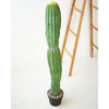 Single Trunk Cactus Faux Plant