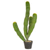 Multi Trunk Cactus Faux Plant