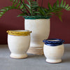 Ruffled Ceramic Flower Pot Set of 3