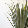 Spiky Palm Tree Potted Faux Plant