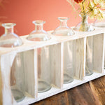 Five Glass Bud Vases in Wooden Crate