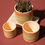 Terracotta Painted Planter Set of 3