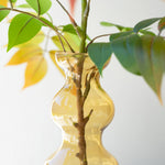 Glass Bubble Vase