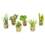 Glass Container Succulent Faux Plant Set of 6