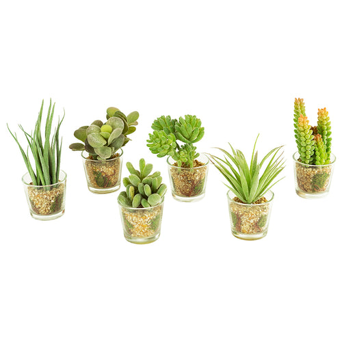 Glass Container Succulent Faux Plant Set of 6