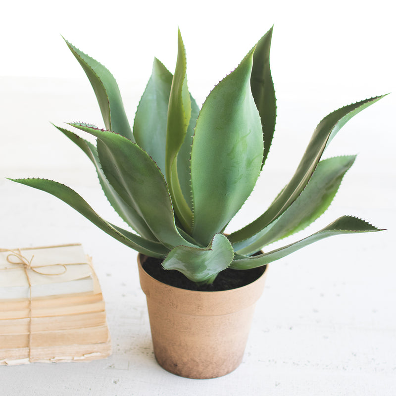 Agave Faux Plant