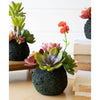 Moss Ball Succulent Faux Plant Set of 4