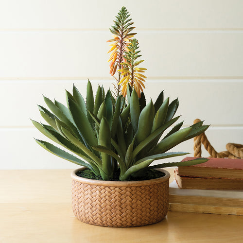 Blooming Aloe & Succulent Faux Plant