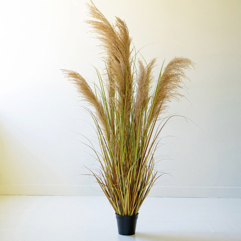 Pampas Grass Potted Faux Plant