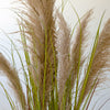 Pampas Grass Potted Faux Plant