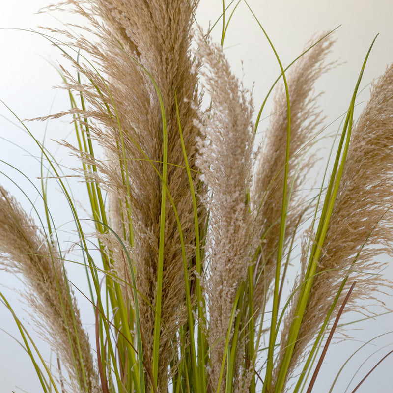 Pampas Grass Potted Faux Plant