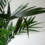 Palm Potted Faux Plant