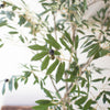 Olive Potted Faux Tree