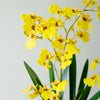 Oncidium Orchid Yellow Potted Faux Plant