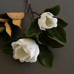 Magnolia Faux Plant Stem Set of 6