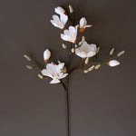 Japanese Magnolia Branch Faux Plant Stem Set of 6