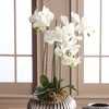 Phalaenopsis Orchid White Drop-In Faux Plant