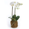 Phalaenopsis Orchid White Drop-In Faux Plant