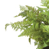 Soft Fern Drop-In Faux Plant