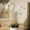 Phalaenopsis Orchid White Drop-In Faux Plant