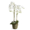 Phalaenopsis Orchid White Drop-In Faux Plant