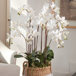 Phalaenopsis Orchid White Drop-In Faux Plant