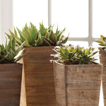 Succulent Drop-In Faux Plant Set of 6