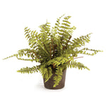 Boston Fern Drop-in Faux Plant