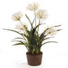 Agapanthus Drop-In Faux Plant