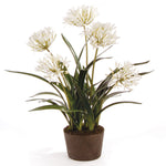 Agapanthus Drop-In Faux Plant