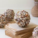 Shell Ball Sculpture Set of 4