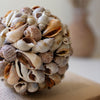 Shell Ball Sculpture Set of 4