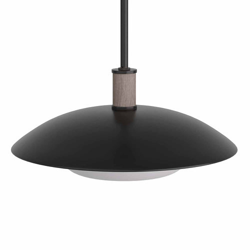 Arteriors Tobias Pendant