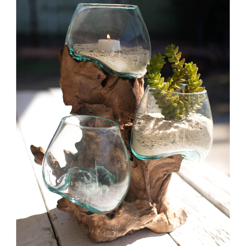 Driftwood Base Terrarium