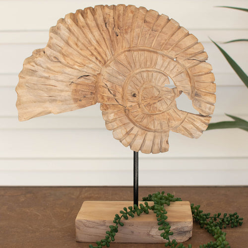 Teak Nautilus Shell Sculpture