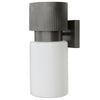 Arteriors Crawford Outdoor Wall Sconce