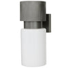 Arteriors Crawford Outdoor Wall Sconce