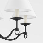 Troy Lighting Massi Chandelier