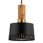 Troy Lighting Memphis Pendant