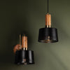 Troy Lighting Memphis Pendant