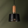 Troy Lighting Memphis Pendant