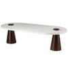 Arteriors Delaney Coffee Table